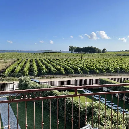 Aquilone Garden 펜션 *